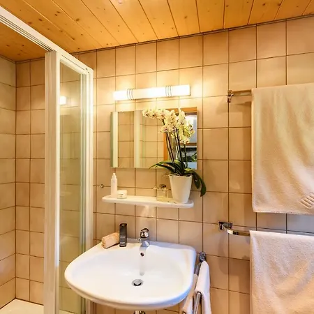 Haus Alpenblick: Alpine Views With 4-star Family And Wellness Access Apartment 4*